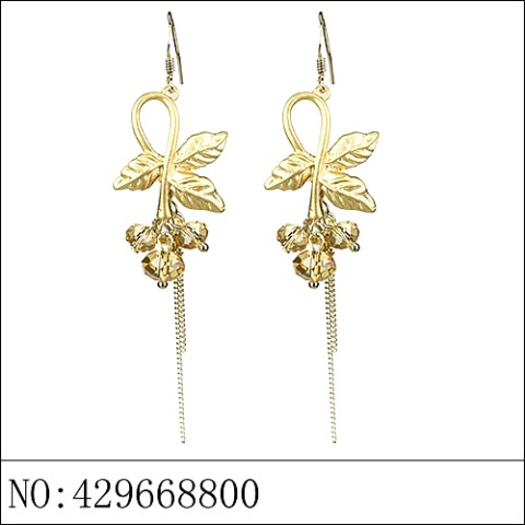 Earrings Brown