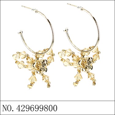 Earrings Brown