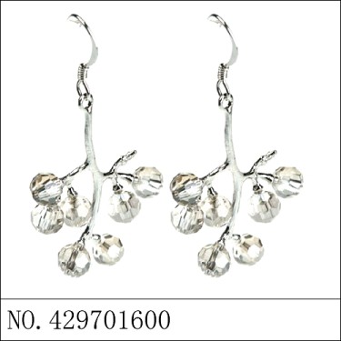 Earrings Gray