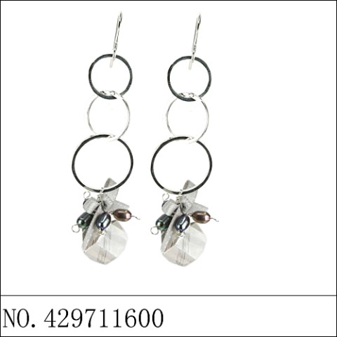 Earrings Gray