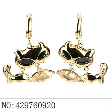 Earrings Gold