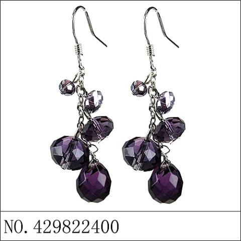 Earrings Purple