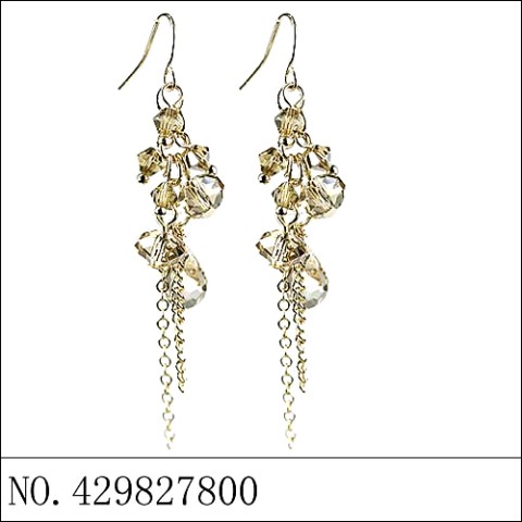 Earrings Brown