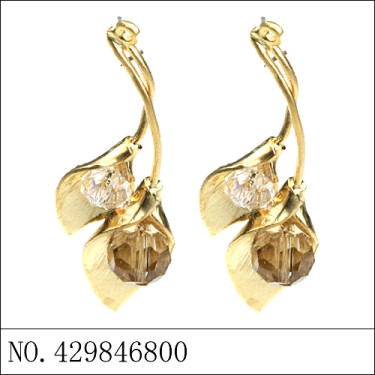 Earrings Brown