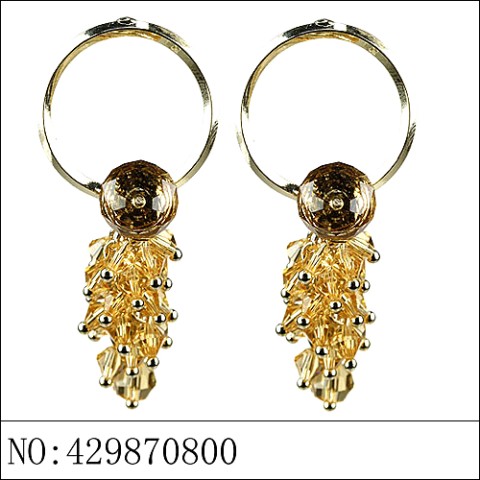 Earrings Brown