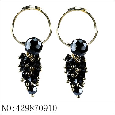 Earrings Black