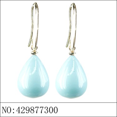 Earrings Blue