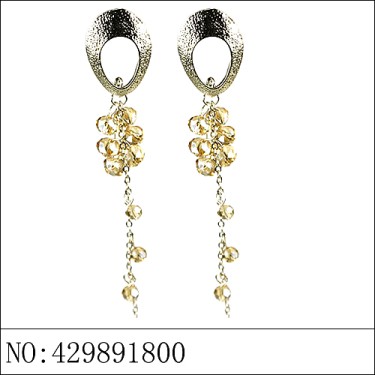 Earrings Brown