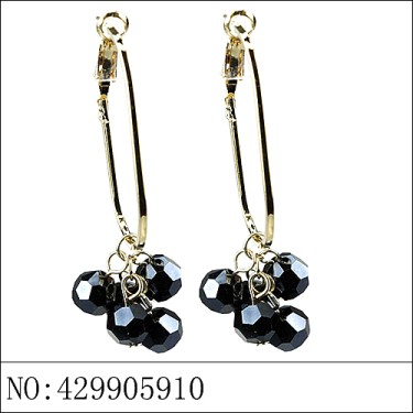 Earrings Black