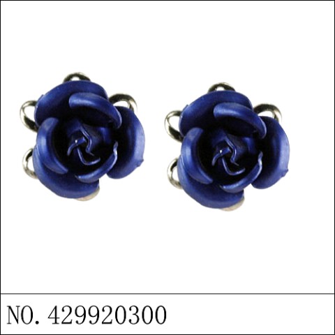 Earrings Blue