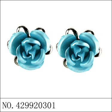 Earrings Blue