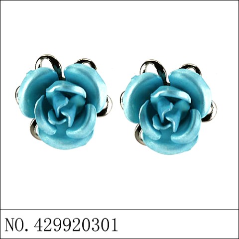 Earrings Blue