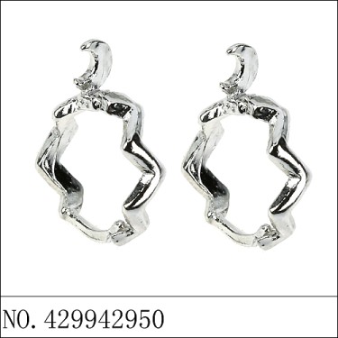 Earrings White Gold