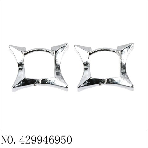 Earrings White Gold